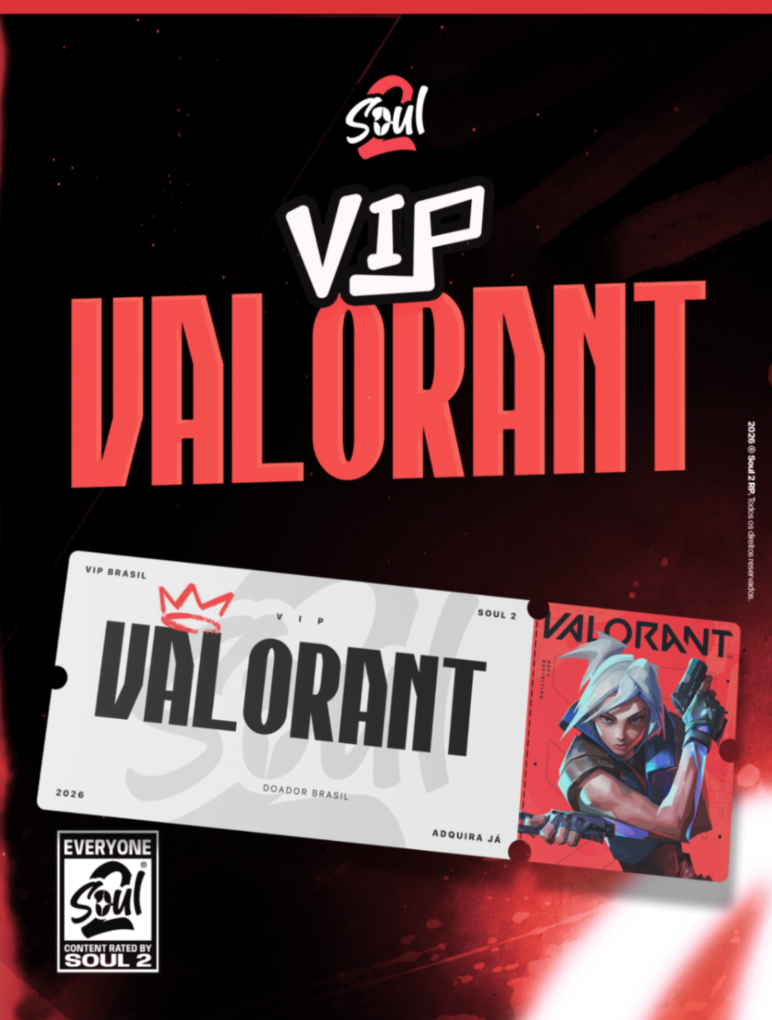 VIP VALORANT