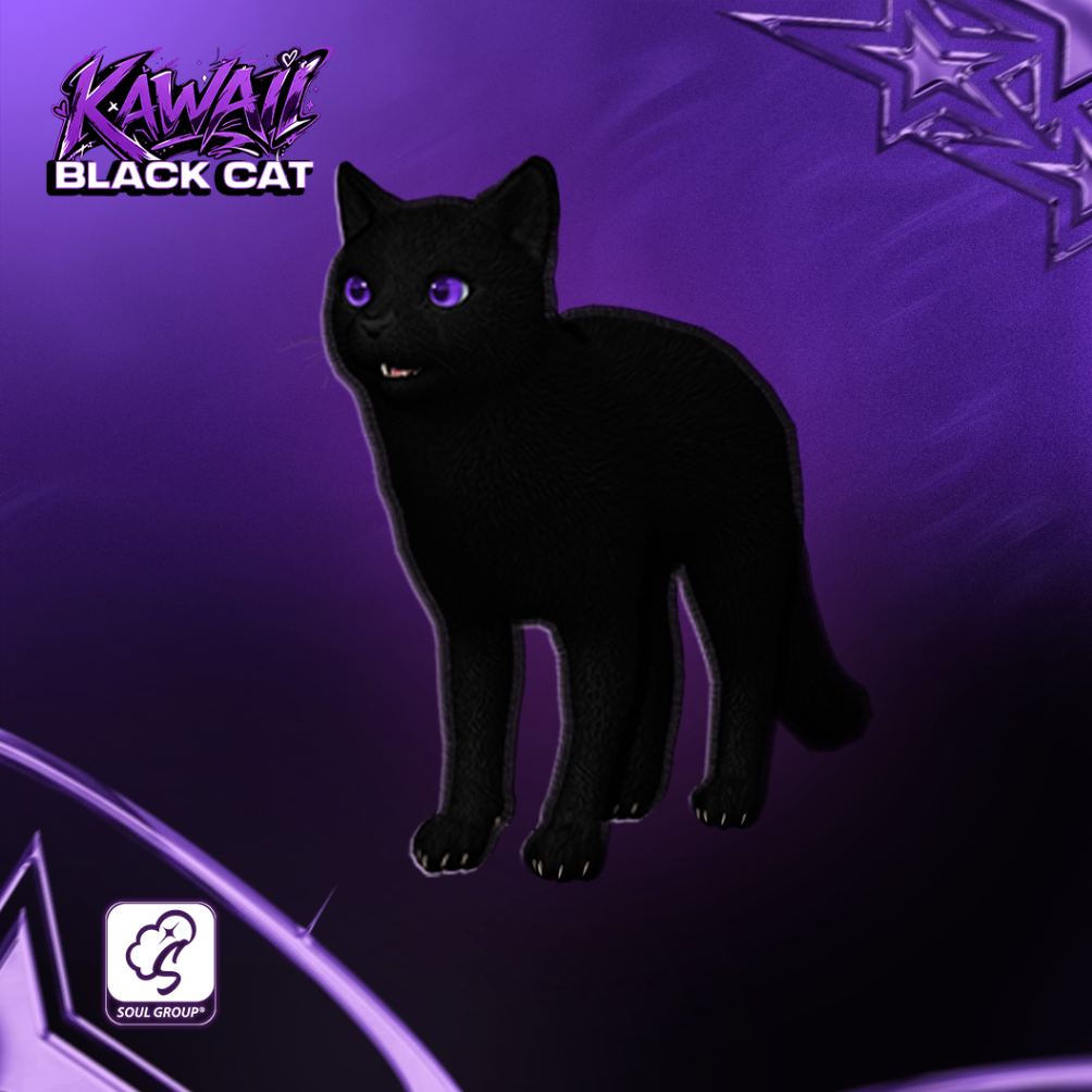 Black Cat