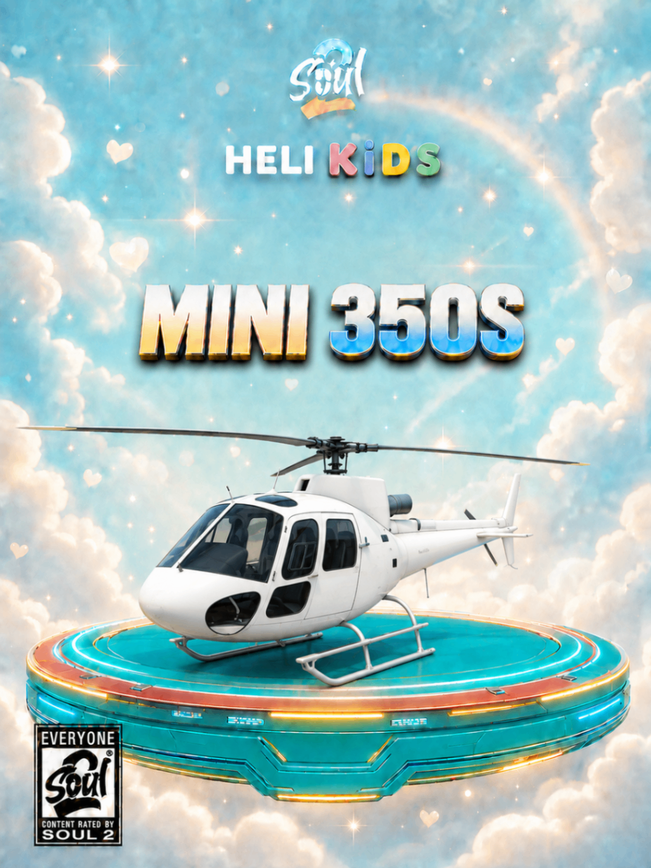 Mini 350s