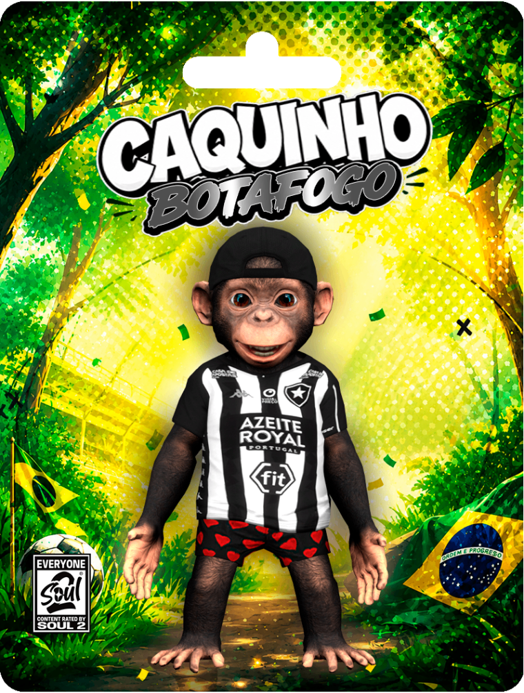 CAQUINHO BOTAFOGO